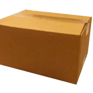 3-Ply Carton Box