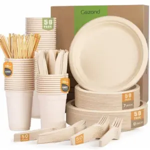 Disposable Plates