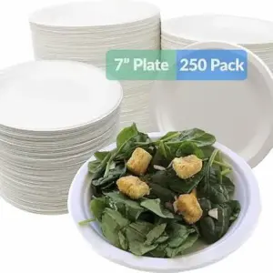 Disposable Bowls