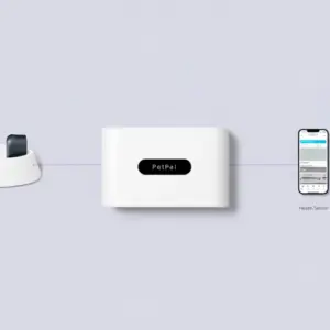 Discreet Pet Activity Monitor