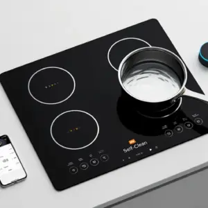 Self-Cleaning Induction Cooktop